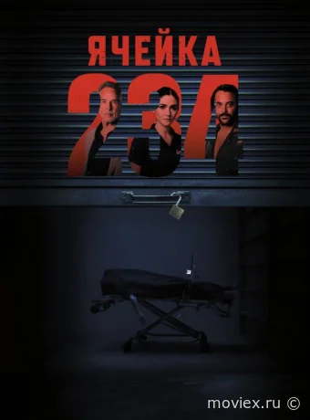 Ячейка 234