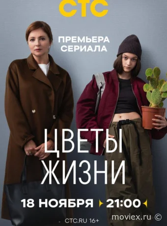 Цветы жизни