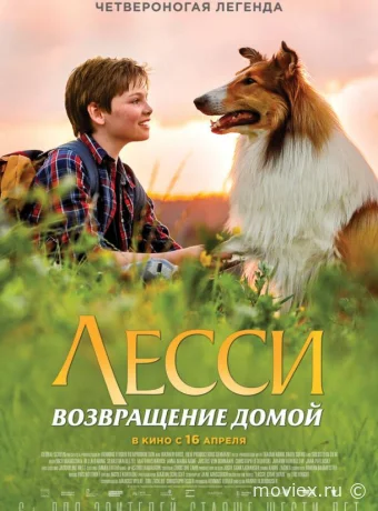 Лесси. Возвращение домой